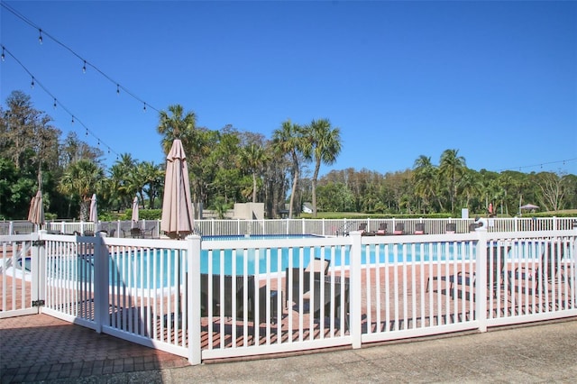 view of pool featuring a patio