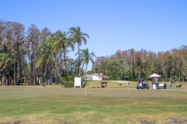 view of home's community with a lawn