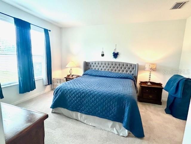 13447 Newport Shores Dr, Hudson, FL 34669 - carpeted bedroom with multiple windows