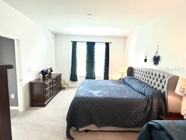 13447 Newport Shores Dr, Hudson, FL 34669 - view of carpeted bedroom