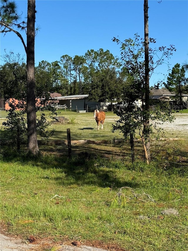 616 Lawrence Ave, Wesley Chapel, FL 33544
