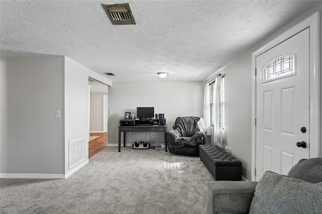 living room with carpet flooring and a textured ceiling