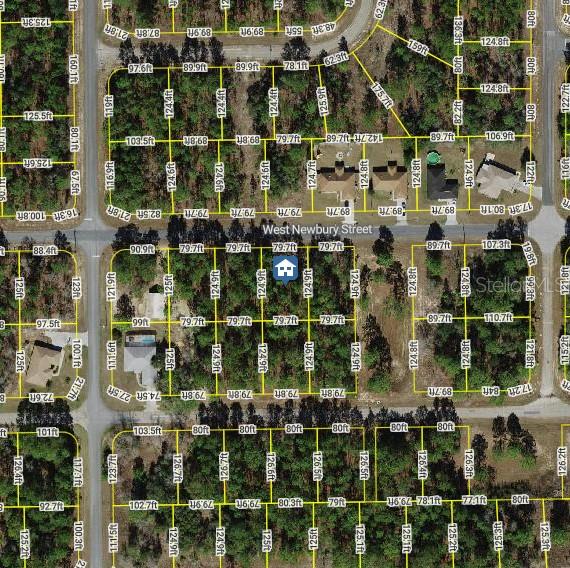 1228 W Newbury St, Citrus Springs FL, 34434 land for sale