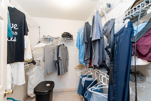 walk in closet with carpet flooring