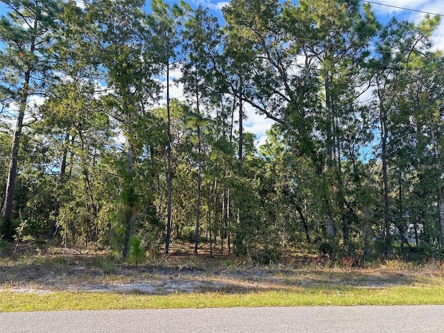 60 Daisy St, Homosassa FL, 34446 land for sale