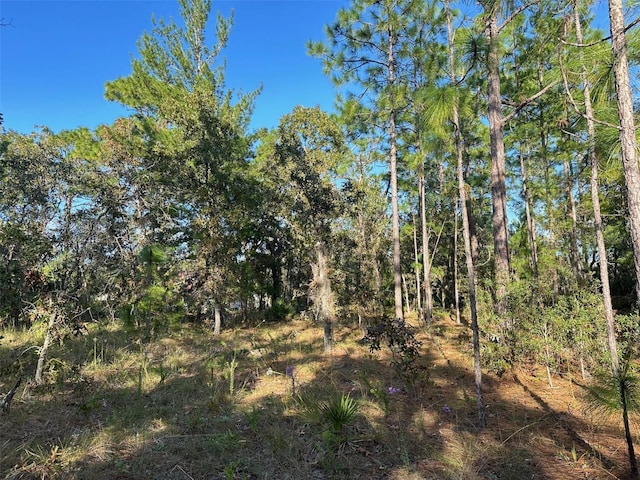 Listing photo 3 for 9 Poppy St, Homosassa FL 34446