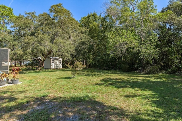 view of yard featuring a storage shed