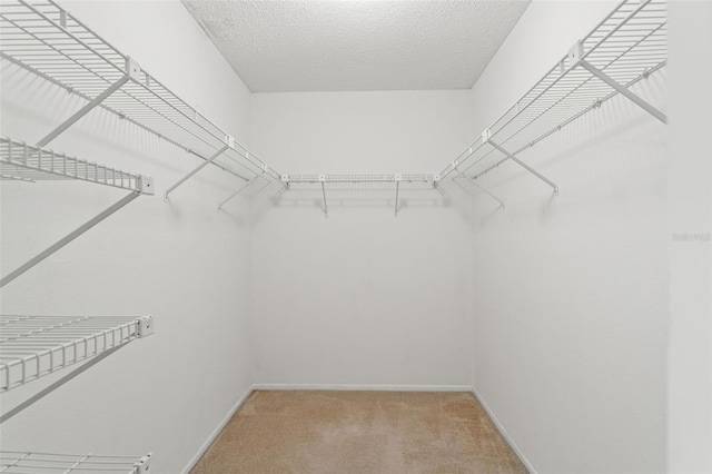 walk in closet with carpet