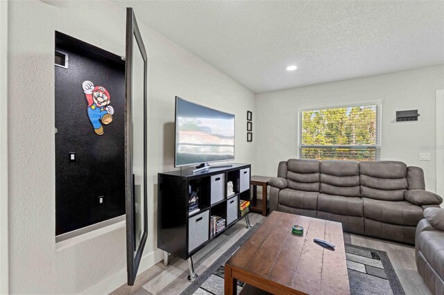 living room with hardwood / wood-style floors and a textured ceiling