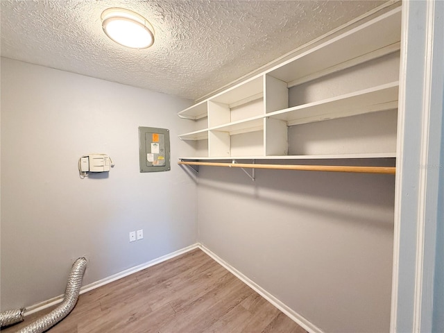 spacious closet featuring electric panel and hardwood / wood-style floors