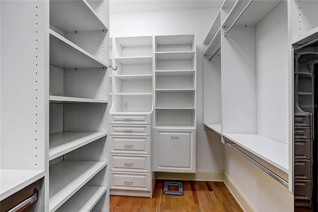 walk in closet featuring light hardwood / wood-style floors