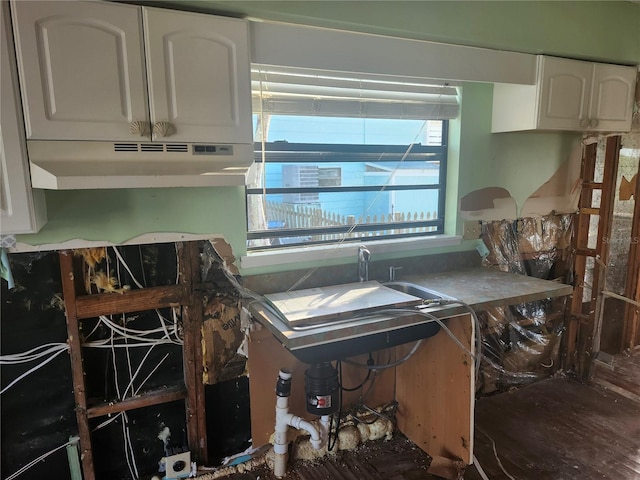 kitchen with white cabinetry and wood-type flooring