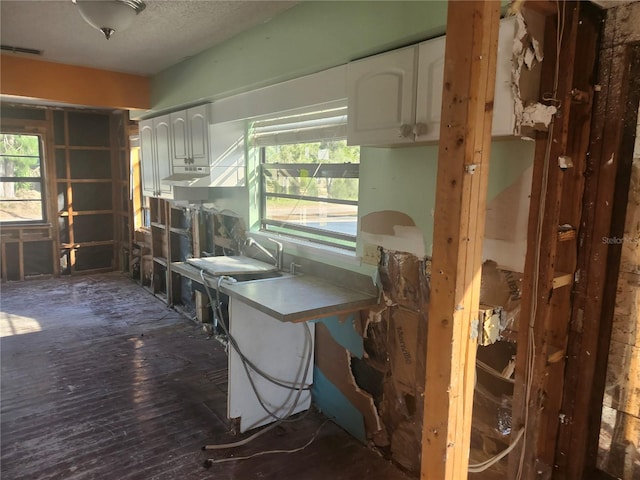 miscellaneous room with dark hardwood / wood-style floors and a healthy amount of sunlight