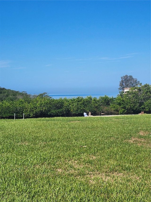 view of yard featuring a rural view