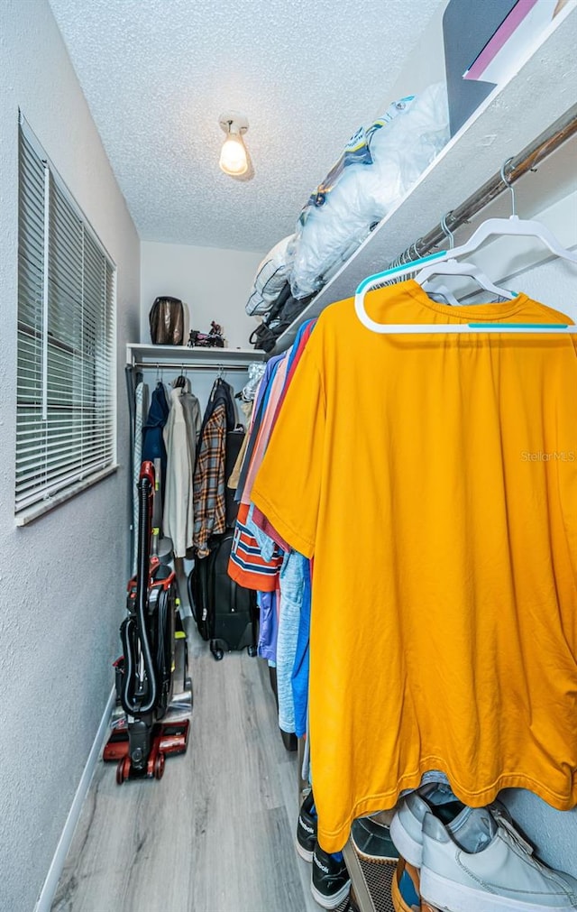 spacious closet featuring wood-type flooring