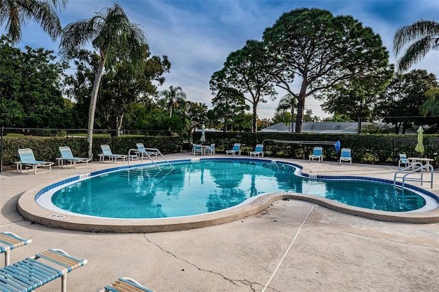 view of pool featuring a patio area