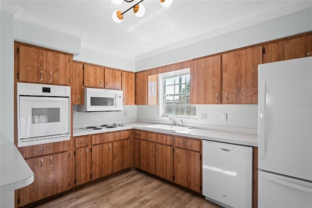 kitchen featuring hardwood / wood-style flooring, white appliances, sink, and a textured ceiling