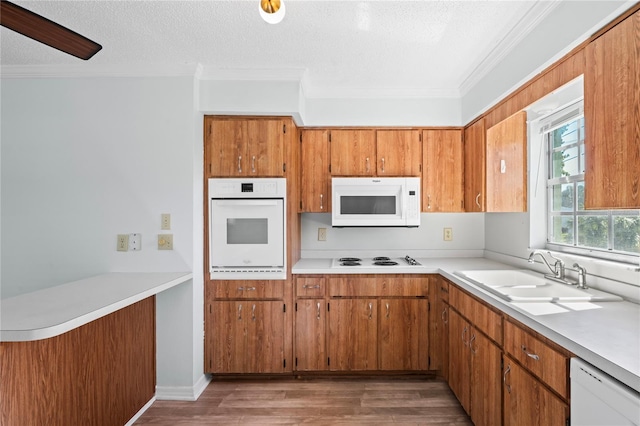 kitchen featuring white appliances, sink, dark hardwood / wood-style floors, ornamental molding, and a textured ceiling