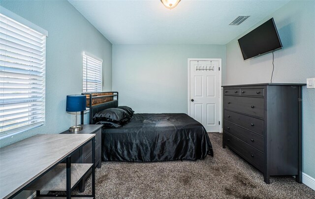 carpeted bedroom with multiple windows