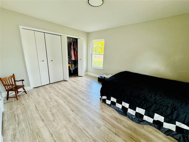 bedroom featuring light hardwood / wood-style floors and two closets