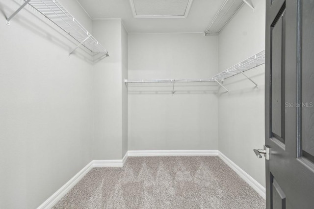 spacious closet with carpet