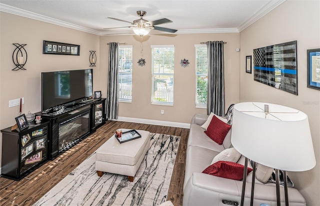 living room featuring crown molding, dark hardwood / wood-style floors, and ceiling fan