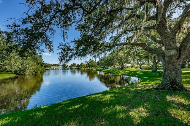 water view