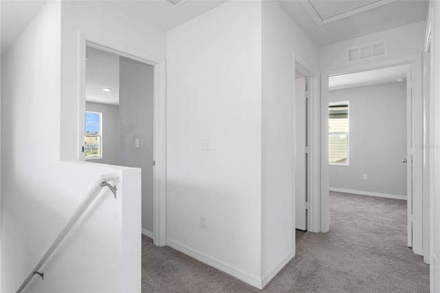 hallway featuring a wealth of natural light and light colored carpet