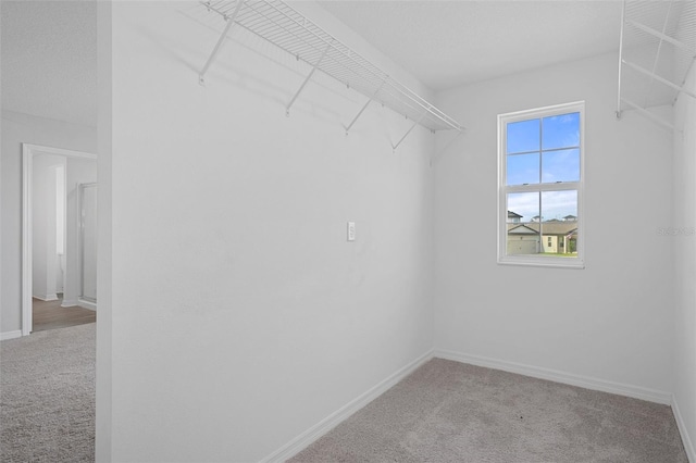 walk in closet with carpet