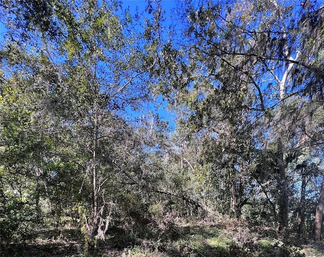 Listing photo 3 for 0 Cheyenne Pass, Brooksville FL 34601