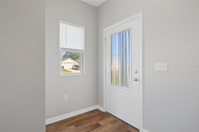 foyer entrance with hardwood / wood-style flooring