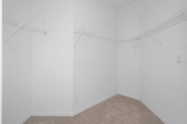 walk in closet featuring light colored carpet