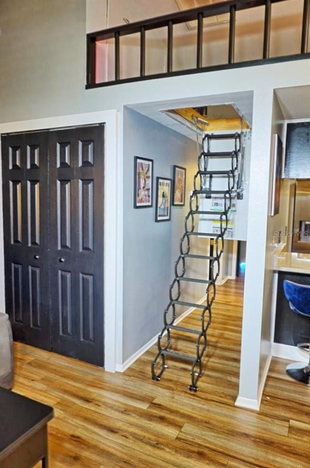 foyer entrance featuring hardwood / wood-style flooring