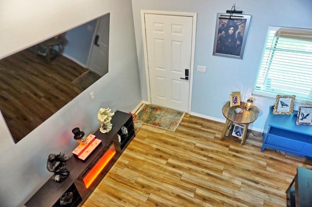 entryway featuring baseboards and wood finished floors