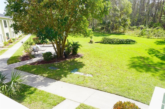 view of yard with a patio area