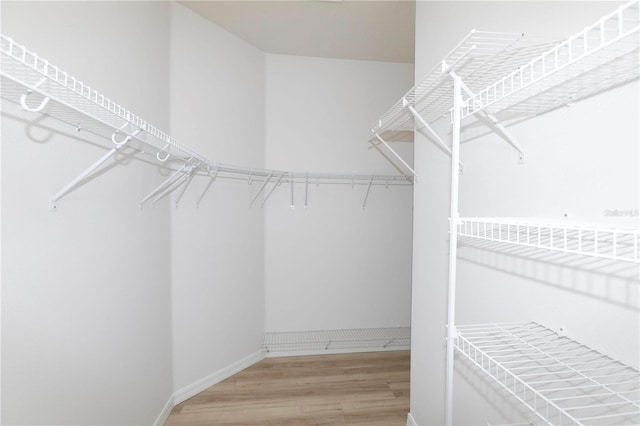 spacious closet featuring wood-type flooring