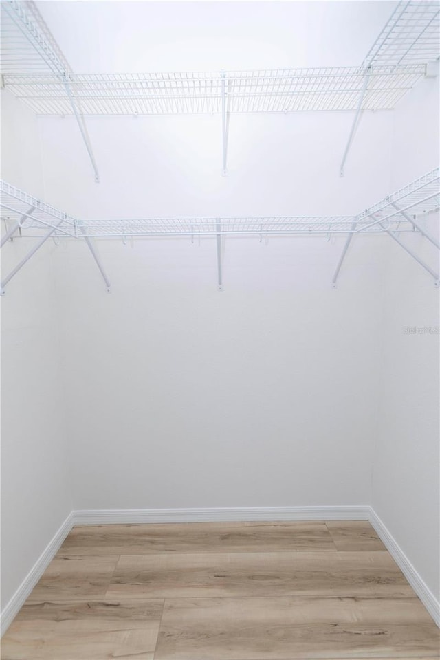 spacious closet featuring light wood-type flooring