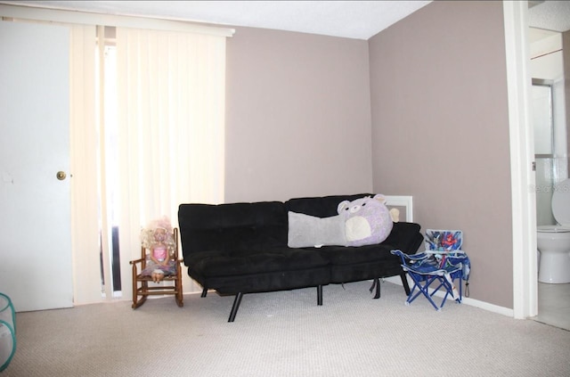 sitting room featuring carpet floors