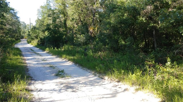 4788 N Mattox Pt, Crystal River, FL 34428 - photo 5