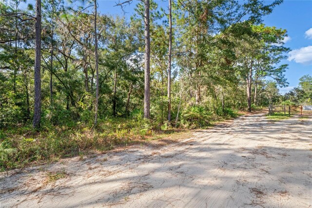 4788 N Mattox Pt, Crystal River, FL 34428 - photo 6