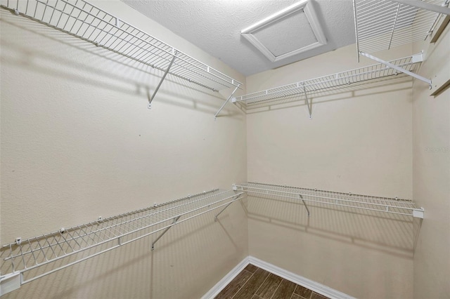 walk in closet featuring wood-type flooring