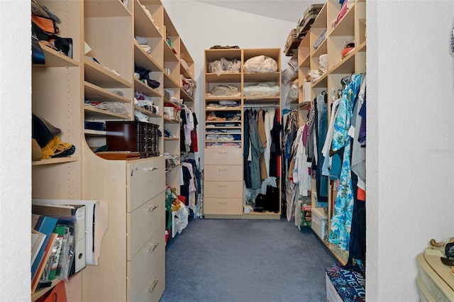 spacious closet featuring dark carpet