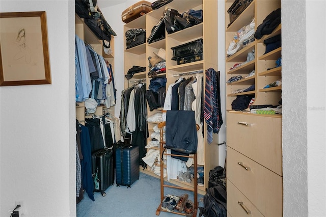 walk in closet with carpet floors