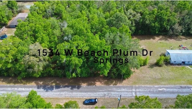 1534 W Beach Plum Dr, Citrus Springs, FL 34434