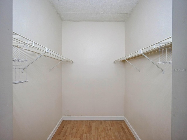 walk in closet featuring light wood-type flooring