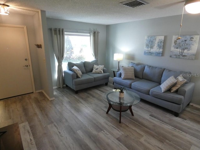 living room featuring a textured ceiling and wood-type flooring