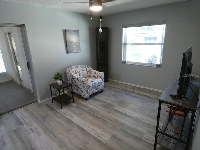 living area with ceiling fan, a textured ceiling, and light wood-type flooring