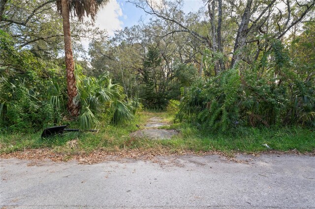 9150 Kiowa Dr, New Port Richey, FL 34654 - photo 3