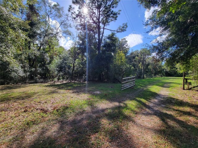 13080 Old Crystal River Rd, Brooksville, FL 34601 - photo 6