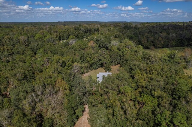 13080 Old Crystal River Rd, Brooksville, FL 34601 - photo 81